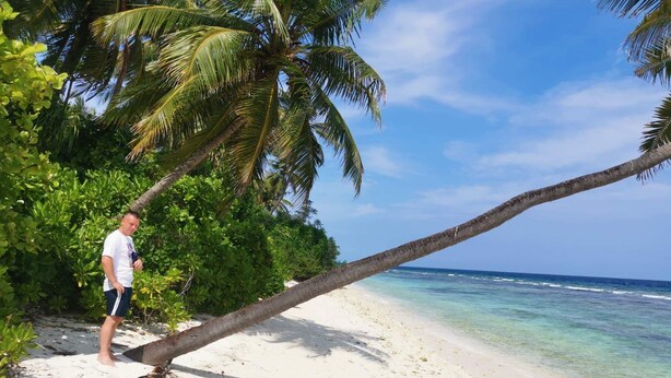 Escena de playa con una palmera inclinada, agua azul cristalina y una persona de pie cerca del árbol.