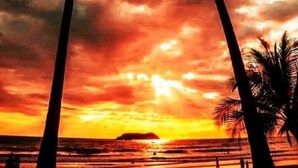 A beach scene with palm trees and a sunset. - Villa Roca Boutique Resort & Suites-ADULT ONLY (Quepos)