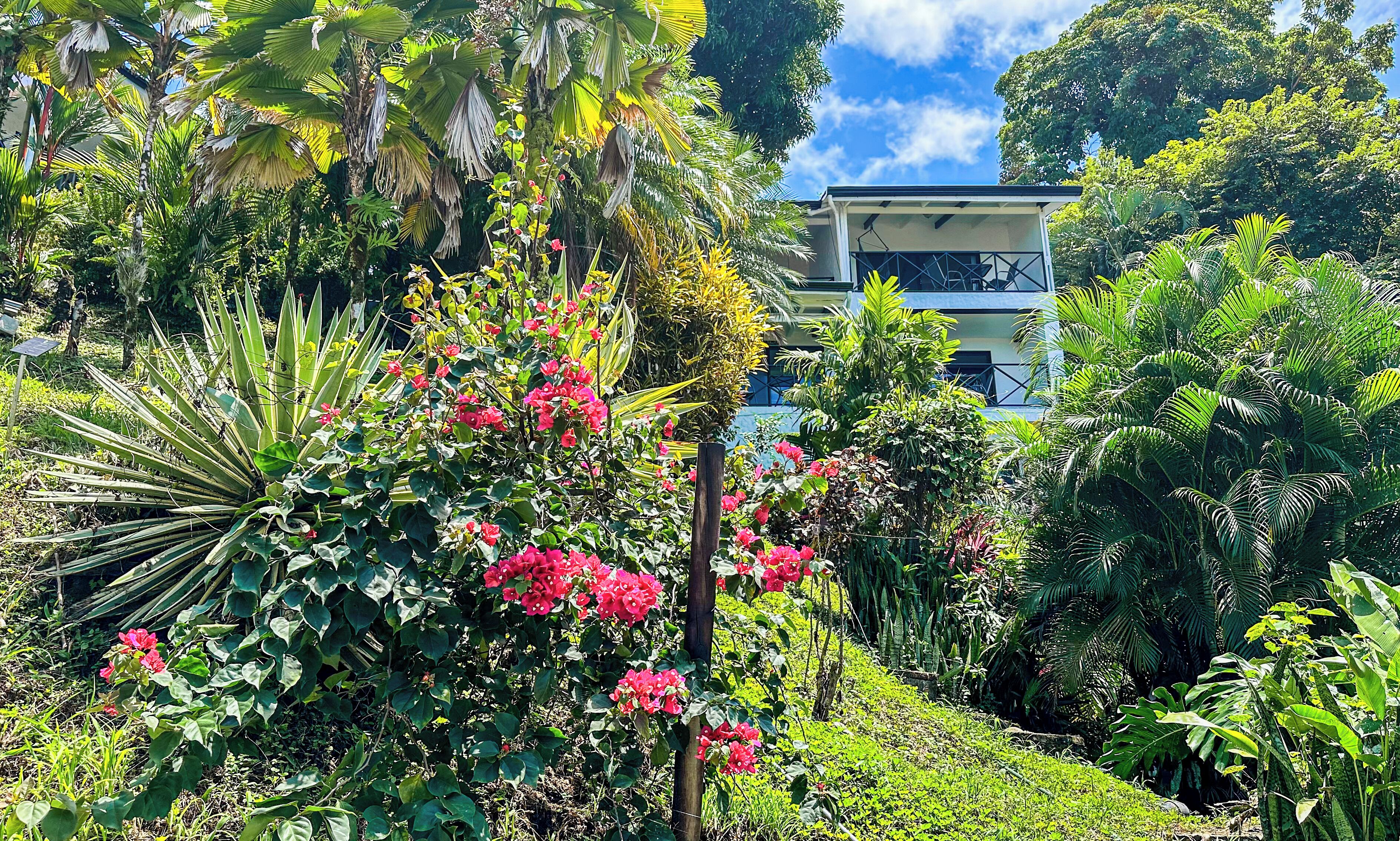 Foto - Villa Roca Boutique Resort & Suites - ADULT ONLY