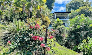 Front of property - Villa Roca Boutique Resort & Suites-ADULT ONLY (Quepos)