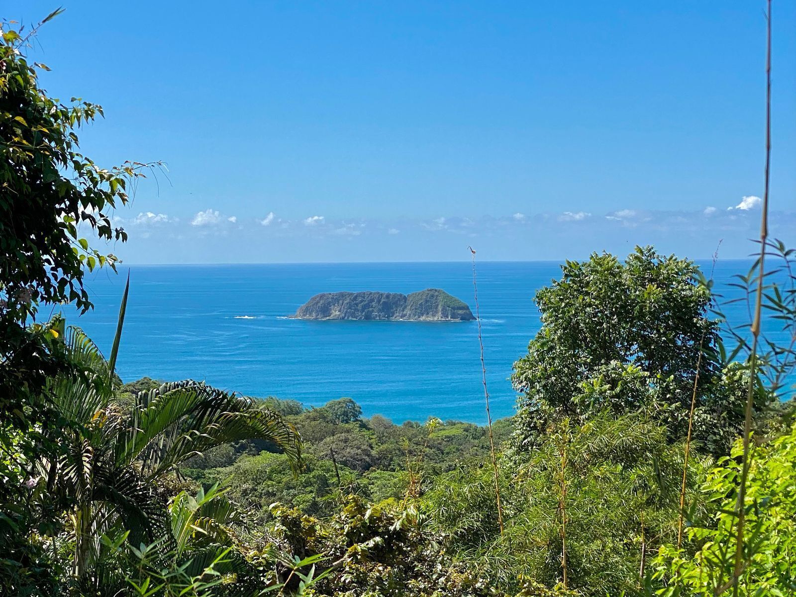 A tropical landscape with a view of the ocean and a small island.