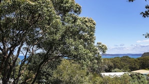 Eine Küstenlandschaft mit üppiger Vegetation und Blick auf das Meer.