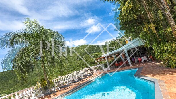 A swimming pool with lounge chairs and a view of a lush green landscape. - Exceptional Villa Anse Marcel (Anse Marcel)