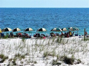 A beach with rows of beach chairs and umbrellas, a sandy foreground, and the ocean in the background. - Luxury 4 Bedroom Gulf Front K/K/Q/2 Bunks/Sofa Sleeper--Beach Club - Sleeps 12 (Gulf Shores)