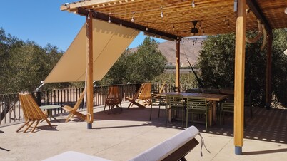 Alma Liebre Viñedos del Valle