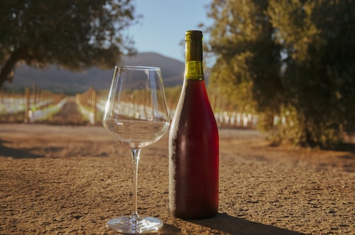 Alma Liebre Viñedos del Valle