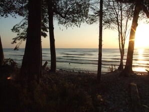 A beach scene with trees and the ocean.