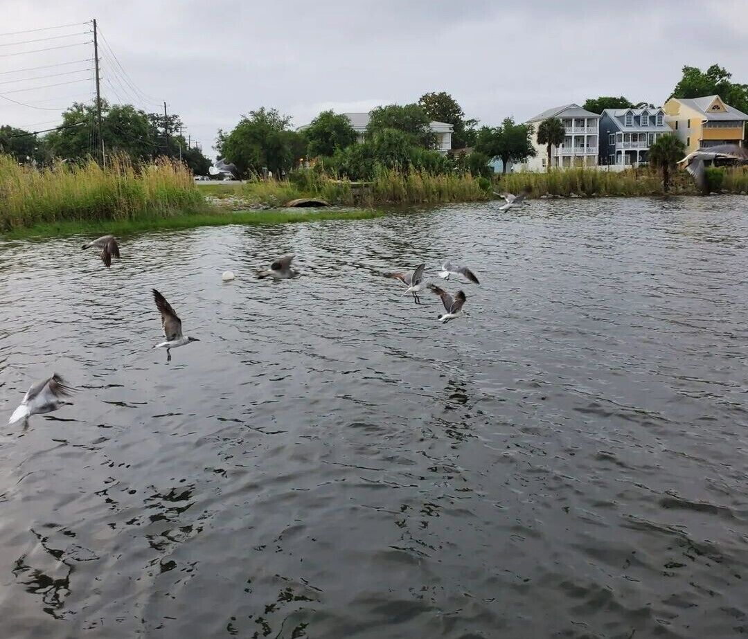 11 Best Houseboats For Rent In Pensacola, Florida Updated 2024 Trip101