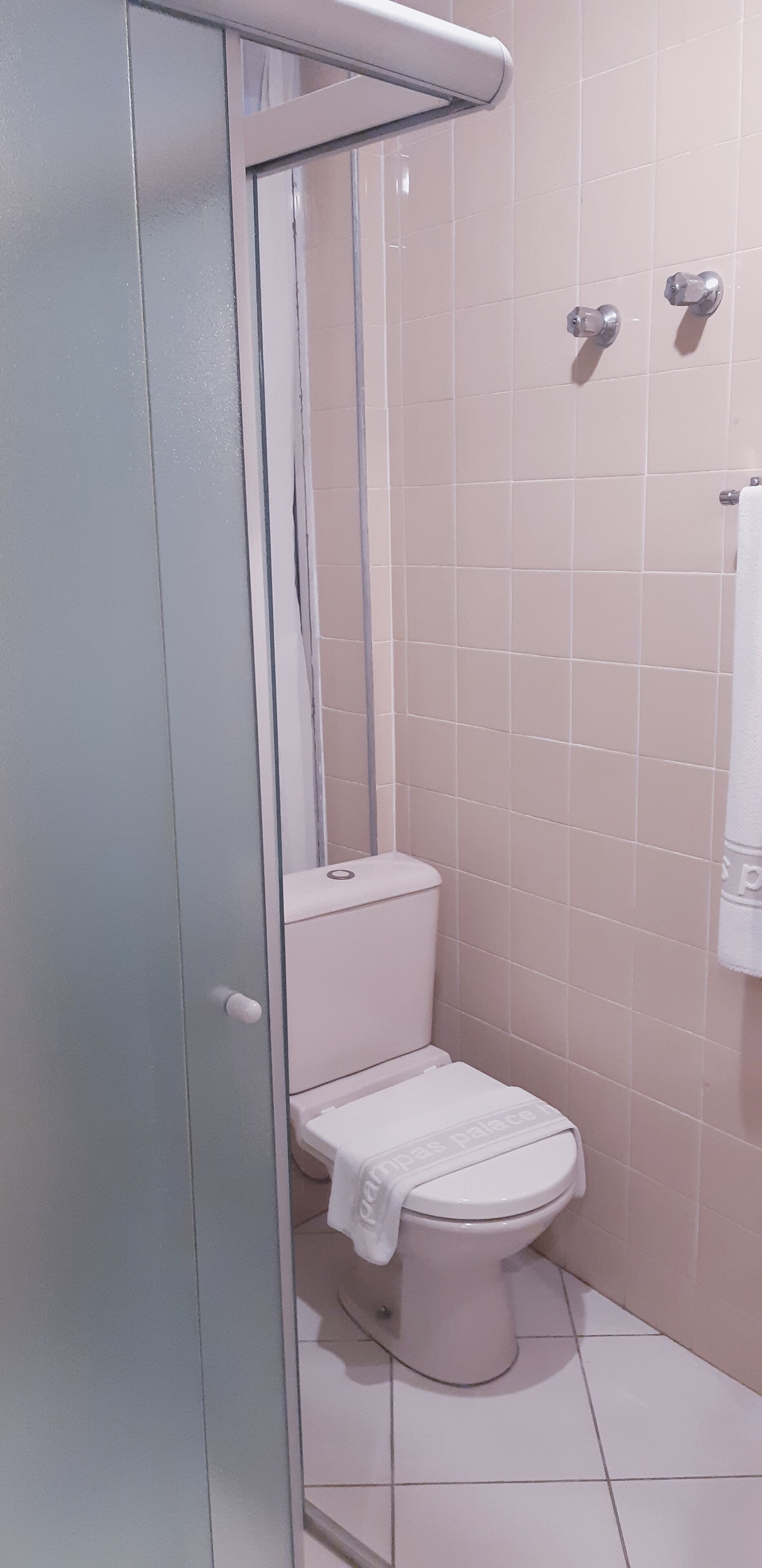A bathroom with a toilet, a shower, and a towel rack.