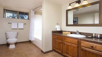 Combined shower/tub, jetted tub, hair dryer, bidet