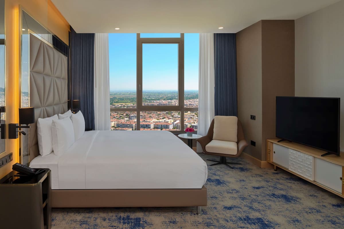A hotel room with a large bed, a TV, a chair, and a view of the city.