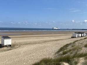 Una playa cerca