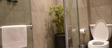 Une salle de bain moderne avec une douche à parois de verre, des toilettes, un lavabo et une plante en pot.
