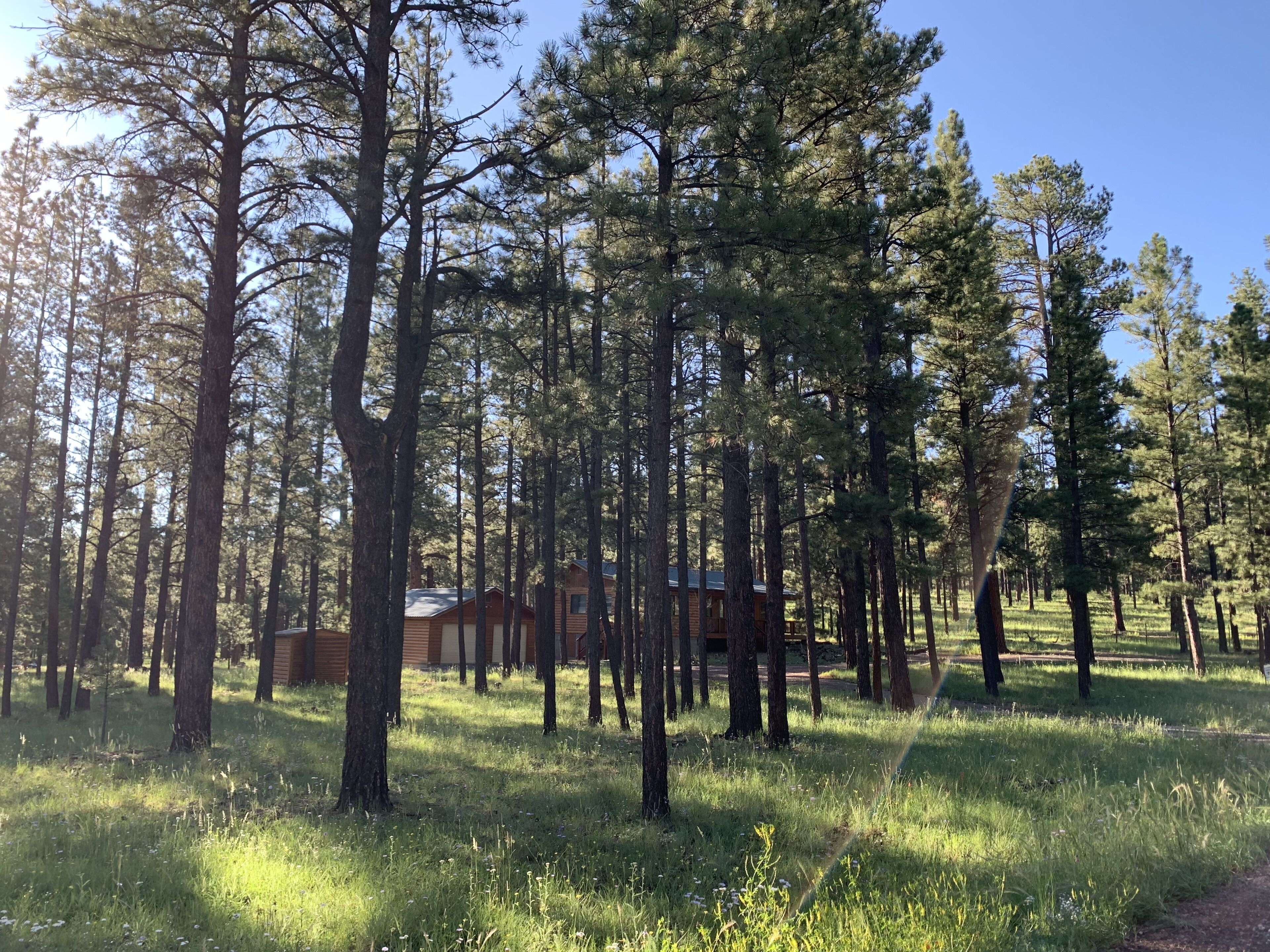 A Great Escape to the Pines of Greer, AZ