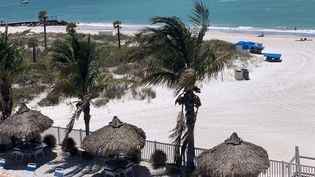 A beach view with thatched umbrellas, palm trees, and a sandy beach.