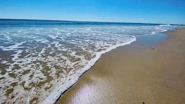 Une plage avec une eau d’un bleu limpide et un rivage sablonneux.