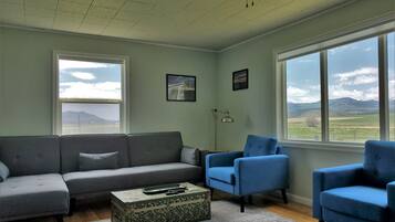 TV connectée, cheminée, lecteur de DVD, livres