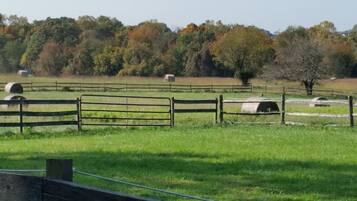 A rural landscape with hay bales, a wooden fence, and trees in the background.