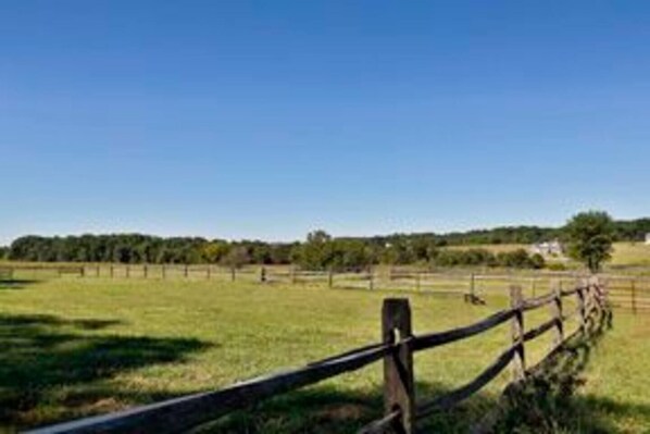 Un paysage rural avec une clôture en bois et des champs à perte de vue.