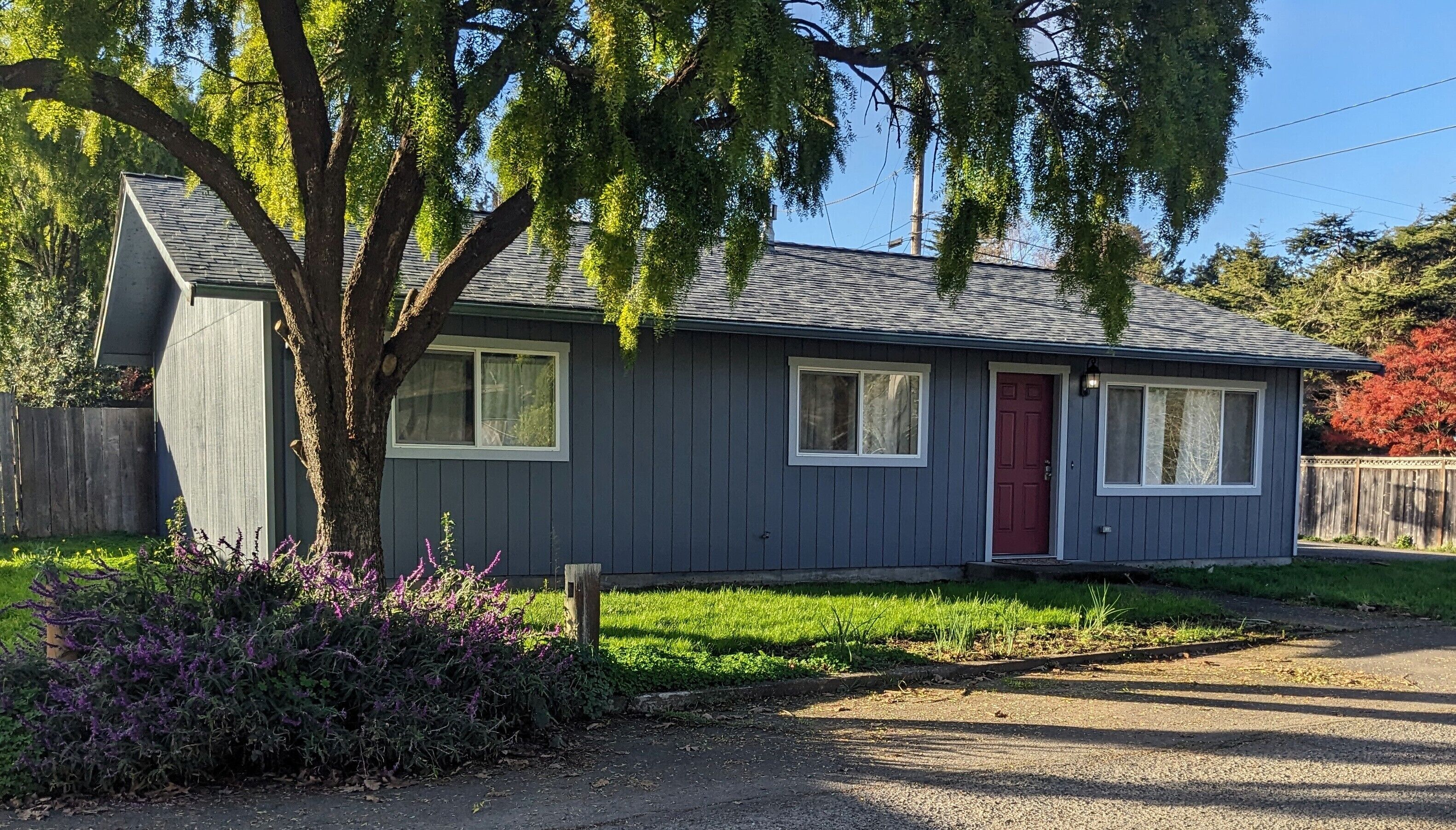 Newly remodeled kitchen and living room 3 bedrooms