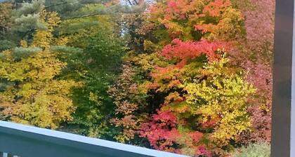 Newly furnished ski condo with Mountain View