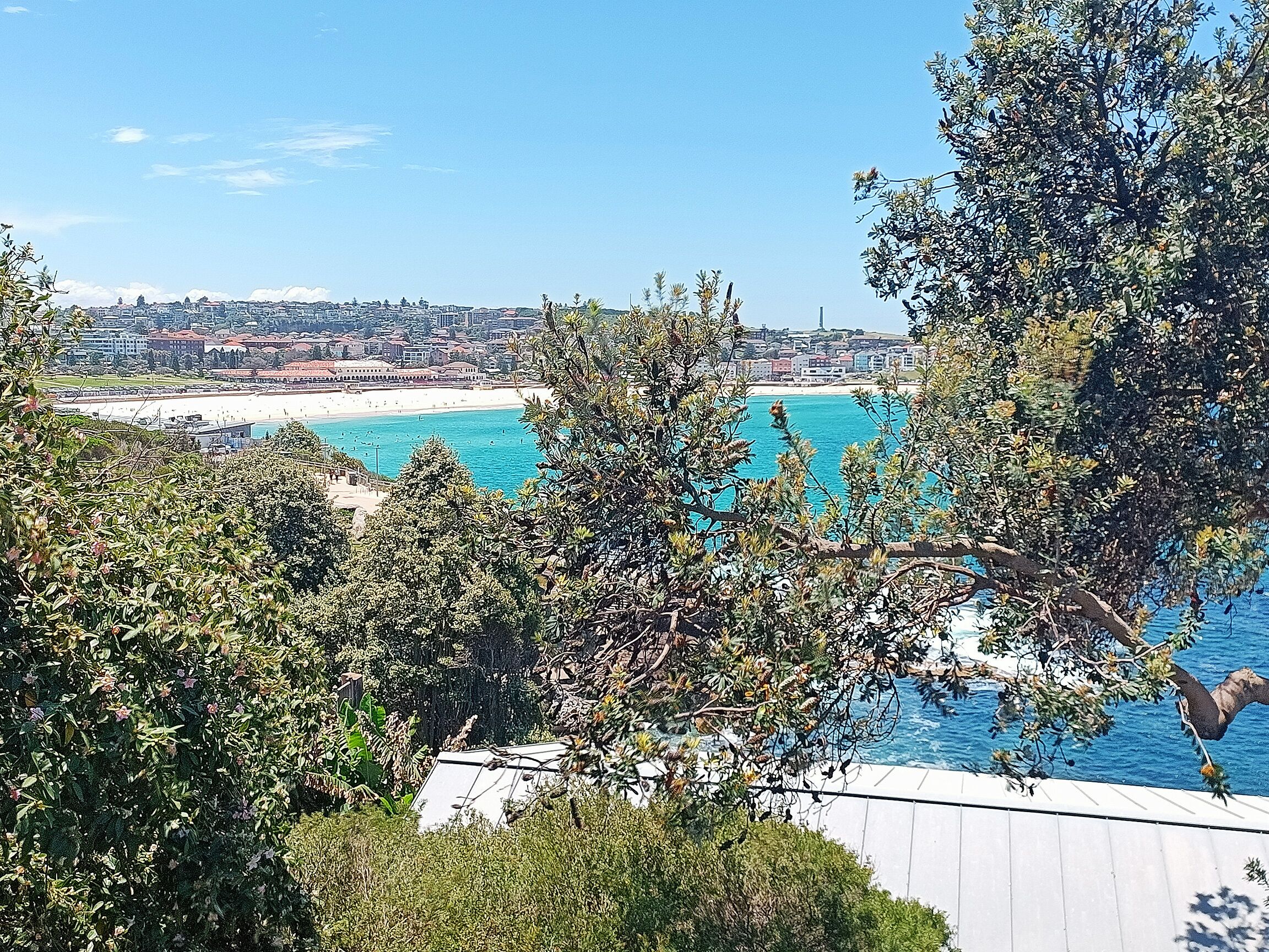 Beachside living at its best!  Bondi Beach Apartment. — image 5