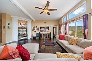Smart TV, fireplace, books
