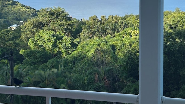 A view of a lush green landscape with a rainbow over the ocean, viewed from a covered balcony with a railing. - Top of Villa "La MARGUERITE (Deshaies)
