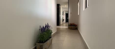 A hallway with white walls, a tiled floor, and two potted plants.