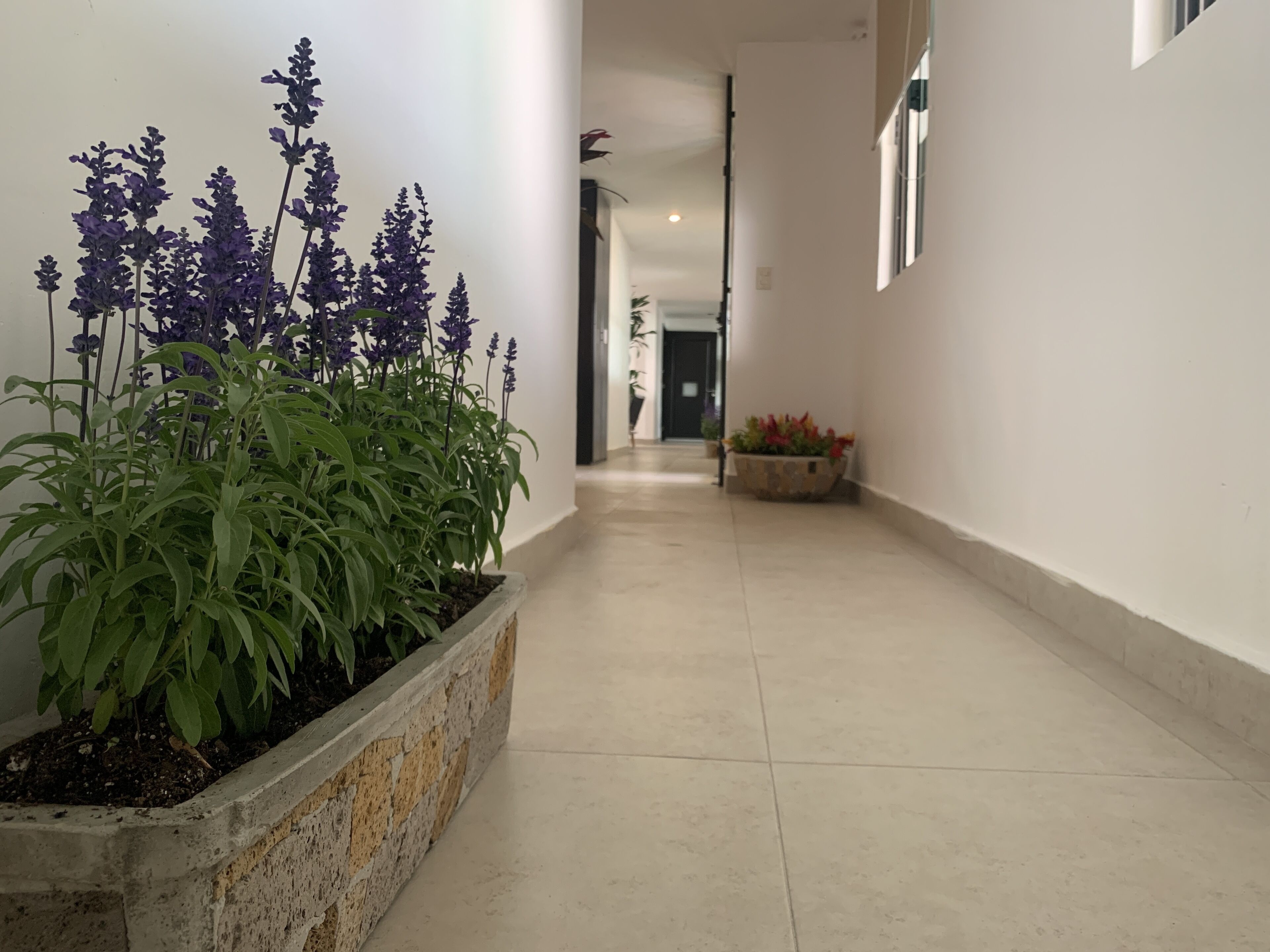 Foto - Hotel Escala Puebla Centro