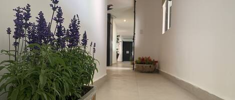 A corridor with a planter on the left and a potted plant on the right.