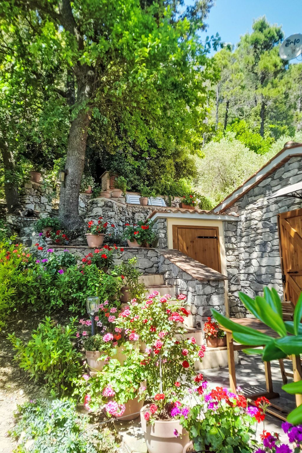 Overnattingsstedets uteområder