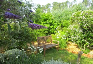 Een tuin met een houten bankje, omringd door verschillende planten en bloemen.