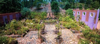 Charming Garden Retreat in Pedrogao Grande
