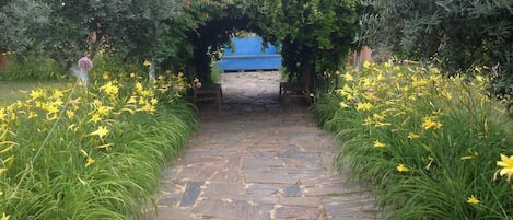 A stone pathway leading through a garden with yellow flowers and a blue structure in the background.