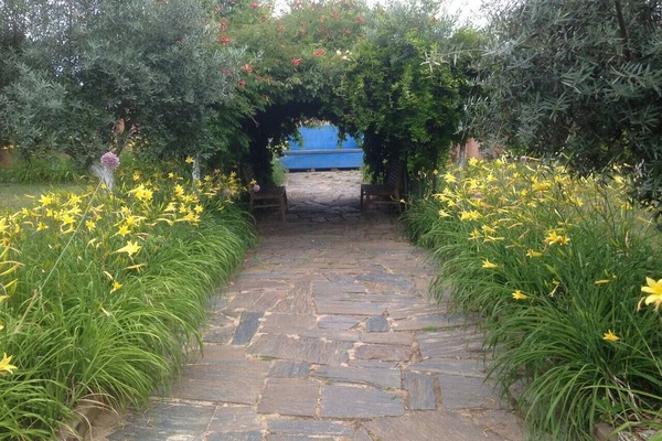 Image 15