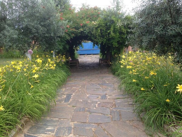 Een pad van stenen dat door een tuin slingert, met gele bloemen en een blauwe constructie in de verte.