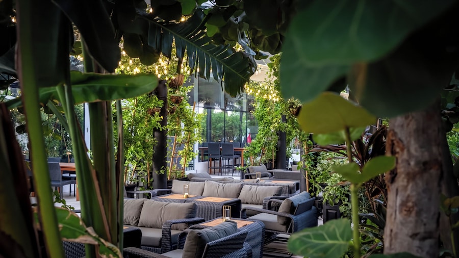 Cayman Luxury Rentals at The Grove