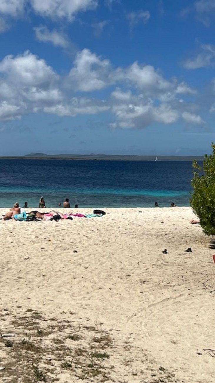 En strand med folk, der solbader og svømmer.