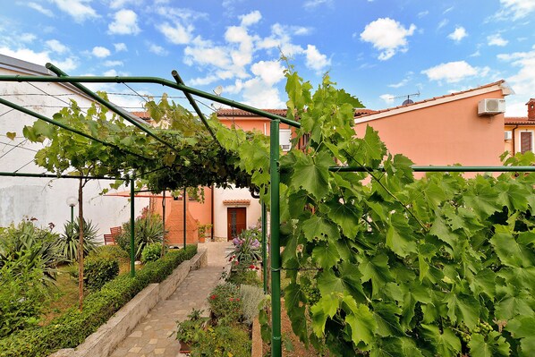 A vineyard with grapevines supported by green trellises, a stone pathway, and a building with a tiled roof in the background. - Apartment 295/45496 (Istria - Stinjan), 1000m from the beach (Stinjan)