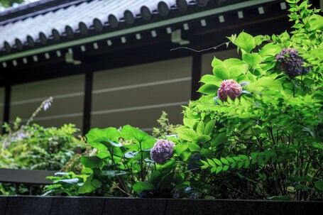 Hotel Okura Kyoto Okazaki Bettei - Image 93