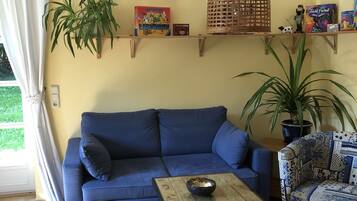 TV, DVD player, books, video library