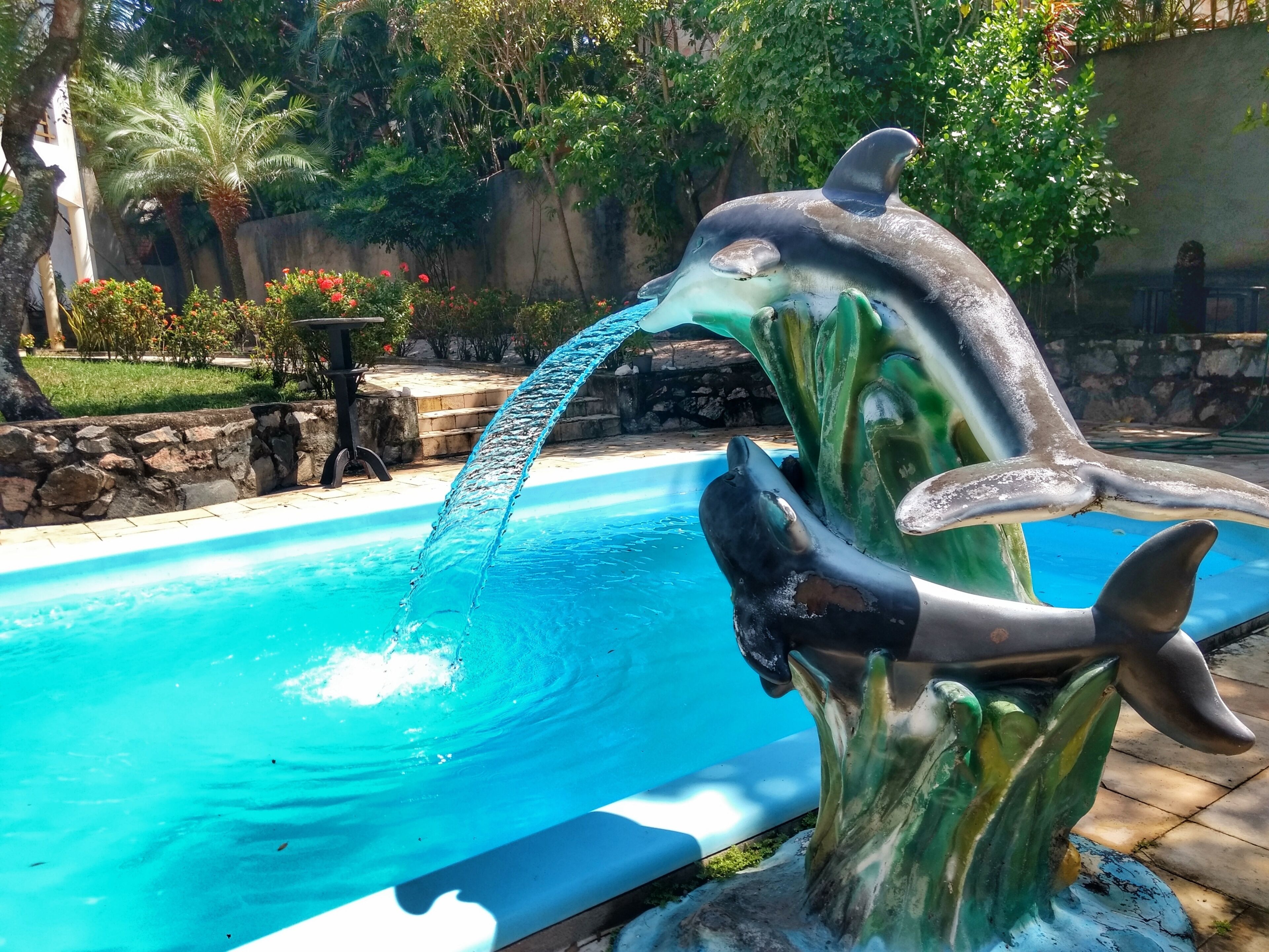 Piscina interna, piscina externa