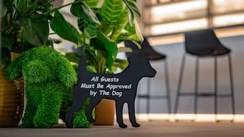 A decorative dog figurine with a sign that reads "All Guests Must Be Approved by The Dog" in a modern interior setting.
