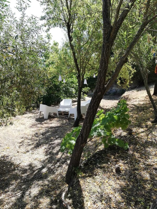 House | Property grounds