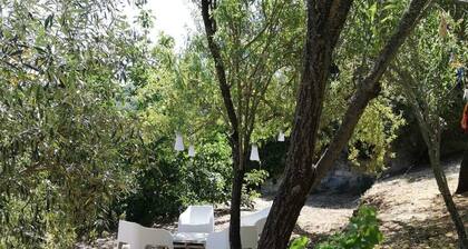 Casa Mimi Garden With a View Cuglieri Sardinia