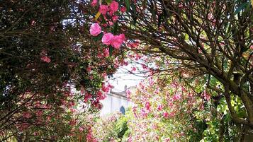 Ferienhaus | Unterkunftsgelände