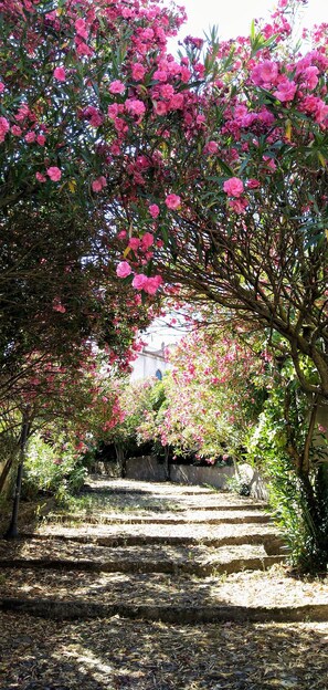 Ferienhaus | Unterkunftsgelände