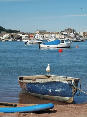 Boats rest on the shore near a charming coastal town with a variety of buildings.