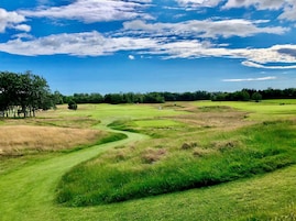 Um campo de golfe com um caminho sinuoso, árvores e um céu azul límpido.